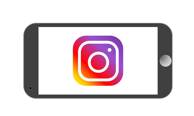 Přírrůstek instagram followerů