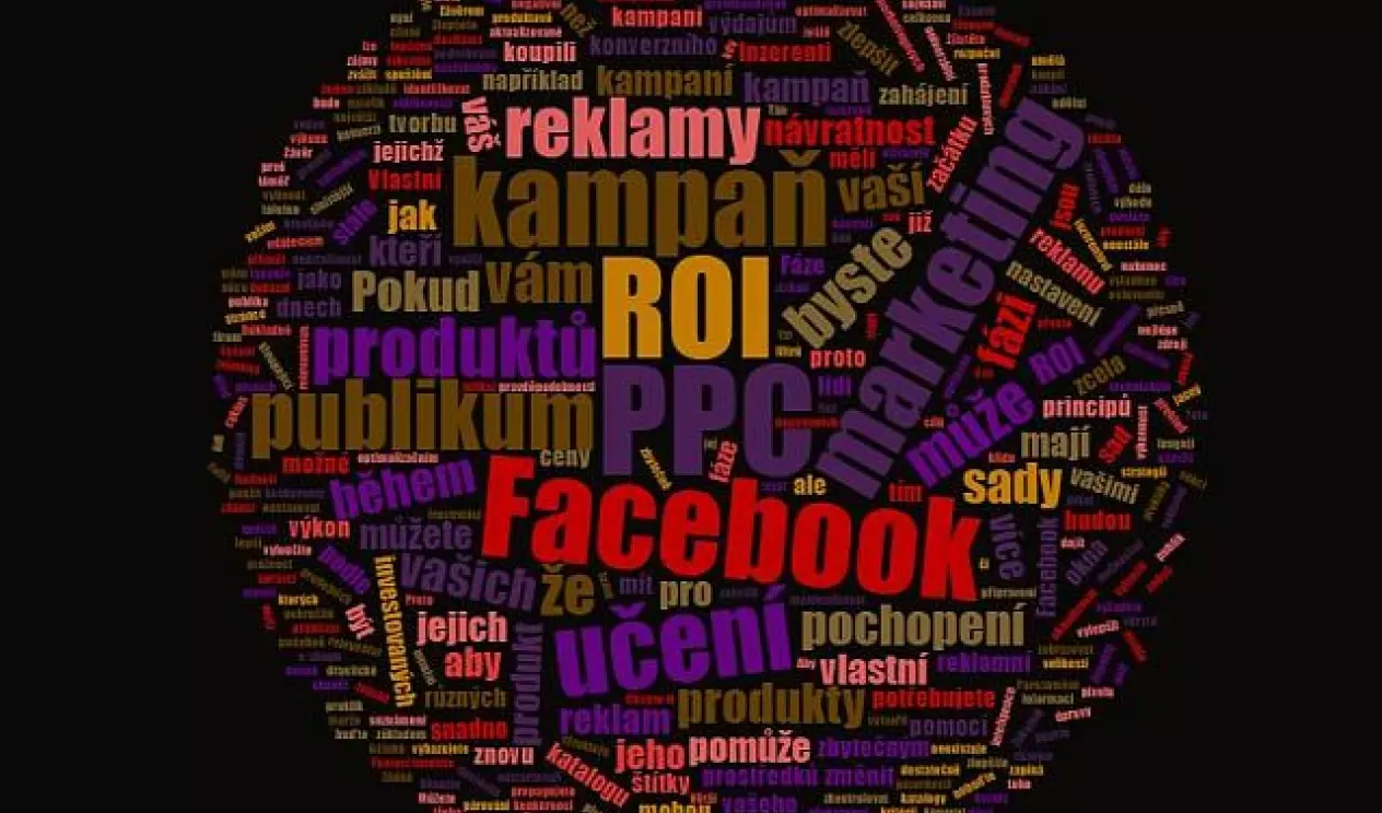 Facebook PPC ROI