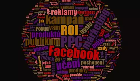 Facebook PPC ROI